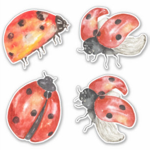 Sticker auto-collant de l'ensemble des coccinelles