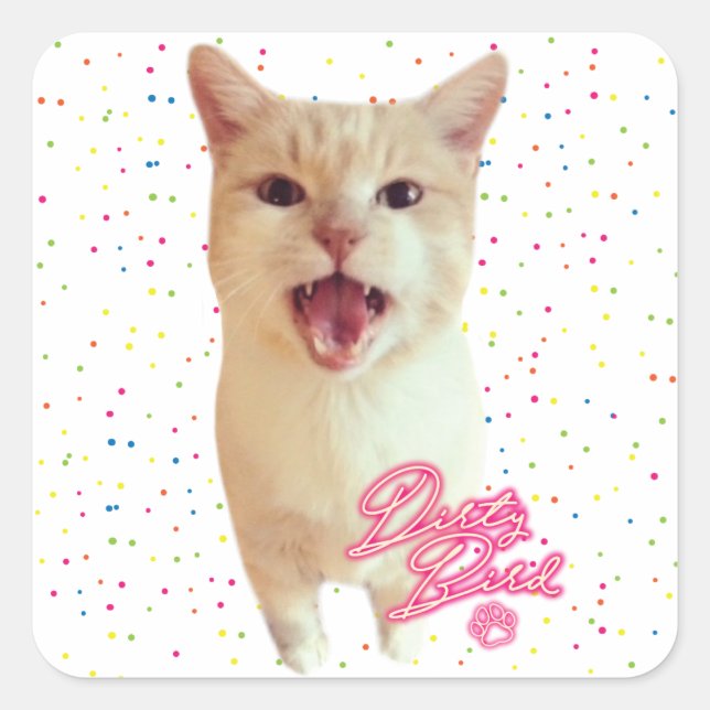 Sticker Autographié Dirty Bird (Devant)