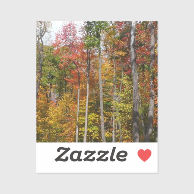 Sticker Automne dans la forêt Colorée Photographie d'autom (Feuille)