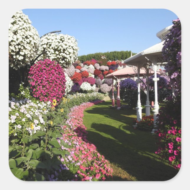 Sticker avec Petunias Garden (Devant)