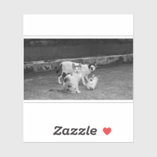 Sticker B&W -  Cats