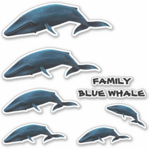 STICKER BALEINE BLEUE FAMILIALE