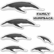 BALEINE DE FAMILLE HUMPBACK
