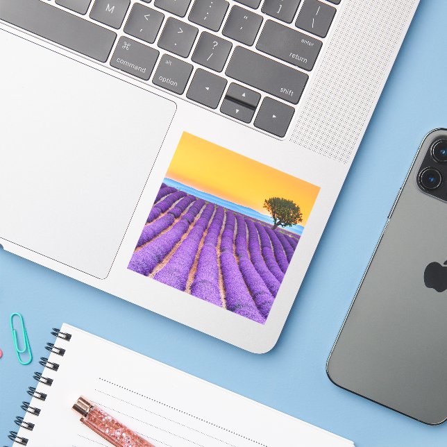 Sticker Beau champ de lavande en Provence (Ordinateur portable avec iPhone)