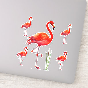 Sticker Beaux Flamants