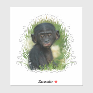 Sticker Bébé Bonobo Ape