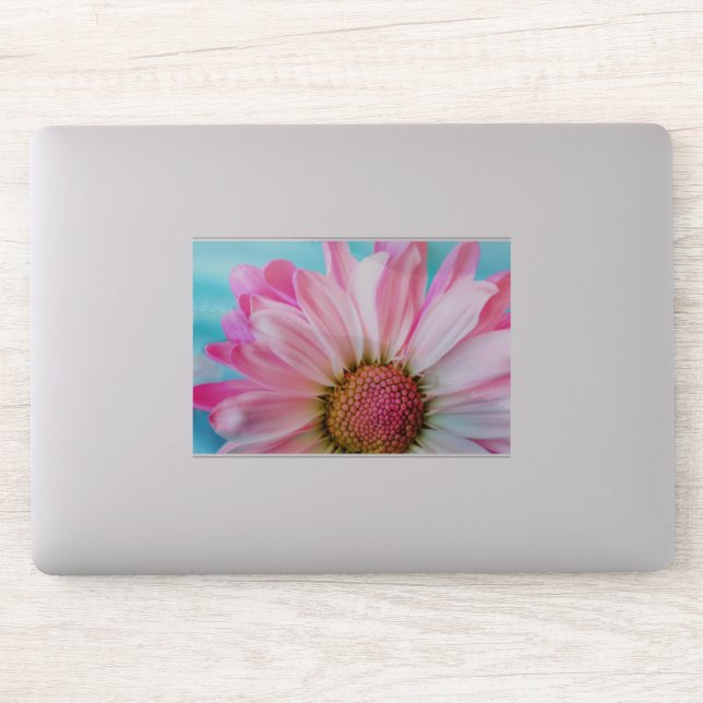 Sticker Belle Fleur rose Gros plan Photo (Ordinateur)