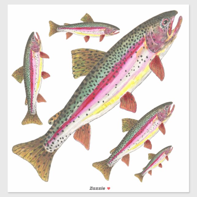 Sticker Belle truite arc-en-ciel = 5 images sur la même (Feuille)