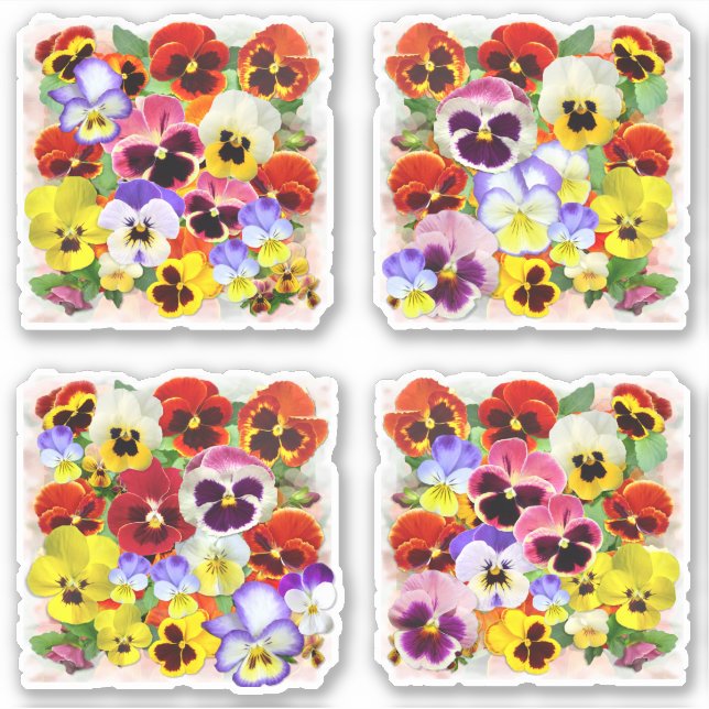 Sticker Belles Pansies Contour (Devant)