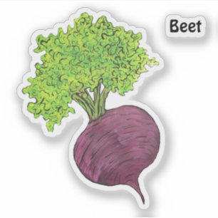 Sticker betterave