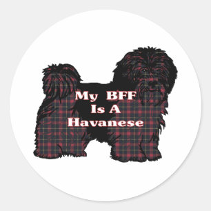 Sticker BFF Havanais