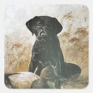 STICKER Black Lab labradors récupérateurs de chien