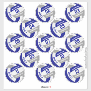 Sticker bleu gris école couleurs volleyball joueurs noms