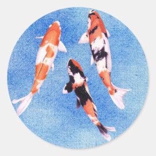 Sticker bleu Koi flottant