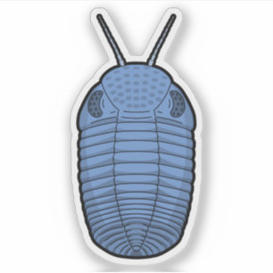 Sticker Bleu Phacops Trilobite - Vinyle animal préhistoriq