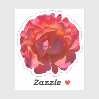 Sticker Blossom Rose de la pêche rouge