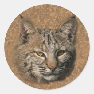 Sticker Bobcat