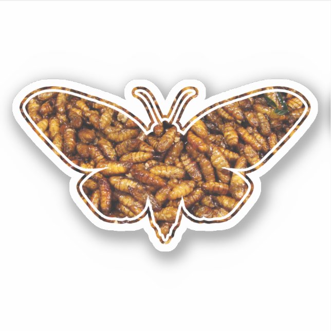Sticker Bombyx Mori Silk Moth Cycle de vie Silhouette (Devant)