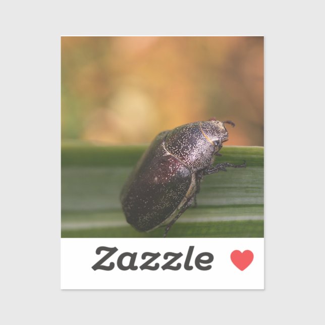 Sticker Bonjour tout le monde ! (Feuille)