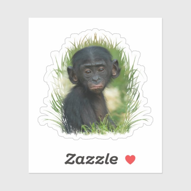 Sticker Bonobo Baby dans l'herbe (Feuille)