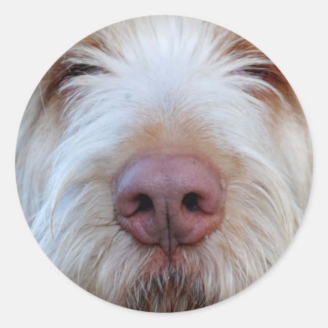 Sticker Booper de Luigi (Devant)