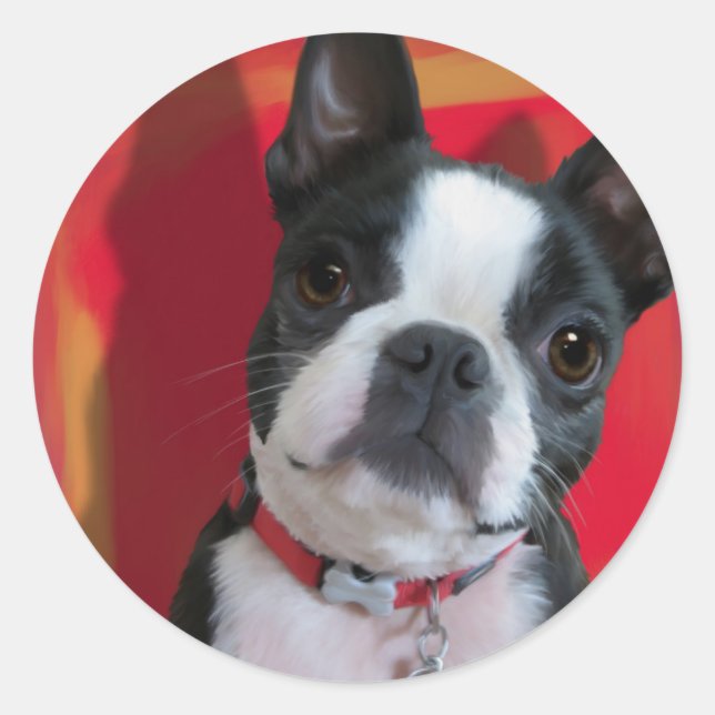Sticker Boston Terrier (Devant)
