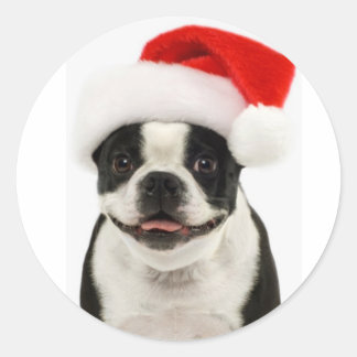 Sticker Boston Terrier Père Noël