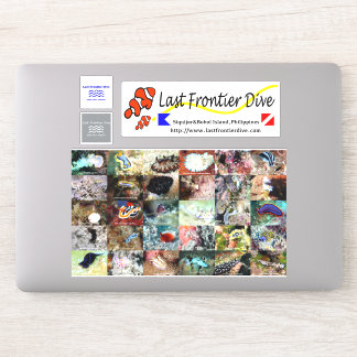 Sticker ♥ Boule de la mer ⇢ Mettez sur votre carnet de plo