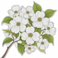 Bouquet de fleurs de cornouiller blanc sur une bra