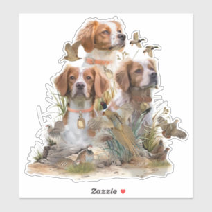 Sticker Bretagne Espagnol, Passion pour les oiseaux