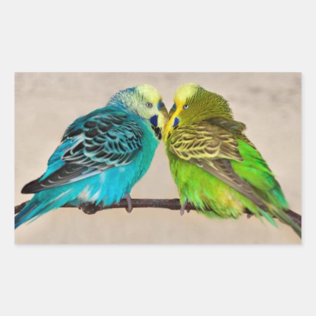 Sticker Budgies in Love (Devant)