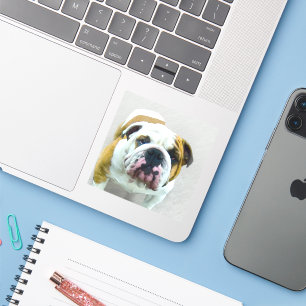 Sticker Bulldog Painting - Joli art original chien