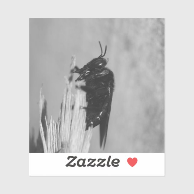 Sticker Bumblebee (Feuille)