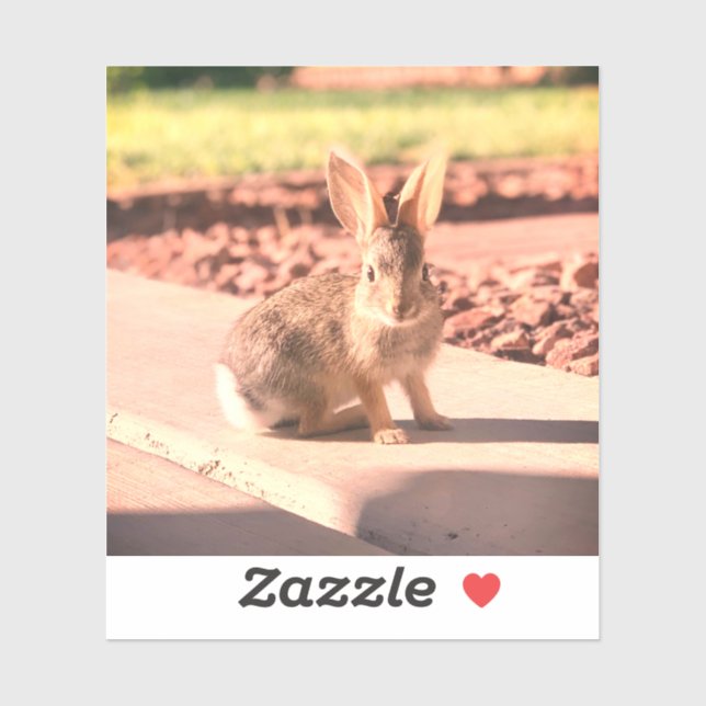 Sticker bunny rabbit photo Easter spring (Feuille)
