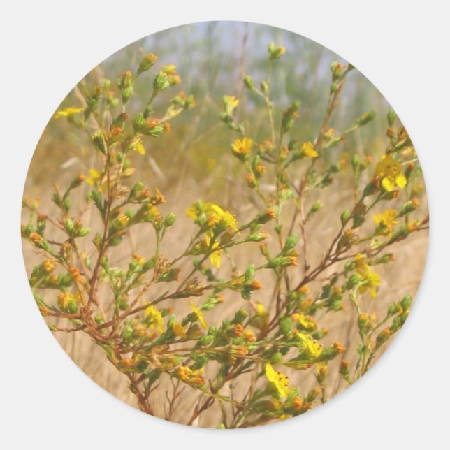 Sticker Bush Fleurs Jaunes (Devant)