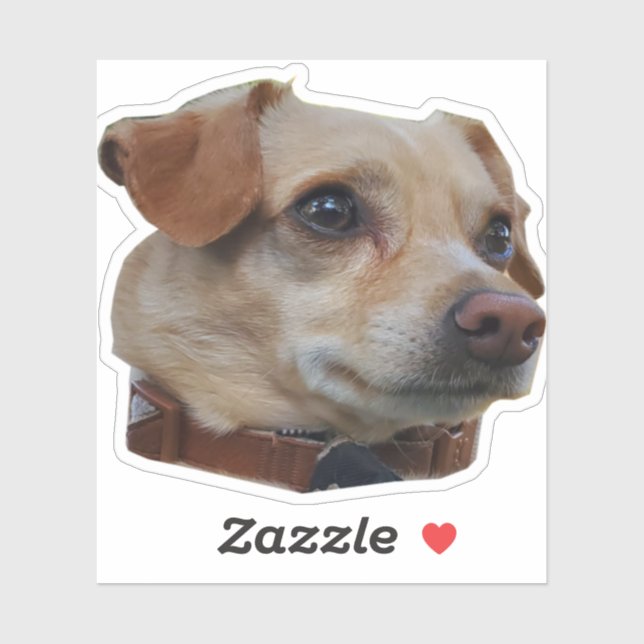 Sticker Buster (Feuille)