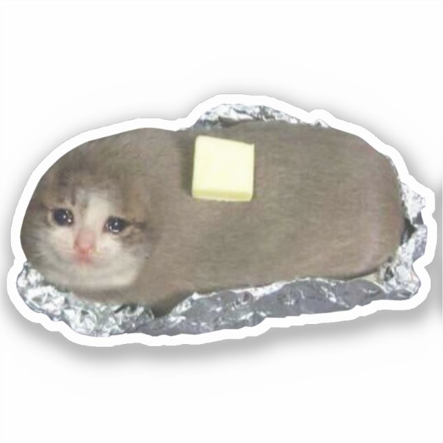 Sticker Butta Chat Mème (Recto)