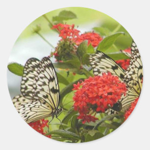 Sticker - Butterflies & Blossoms