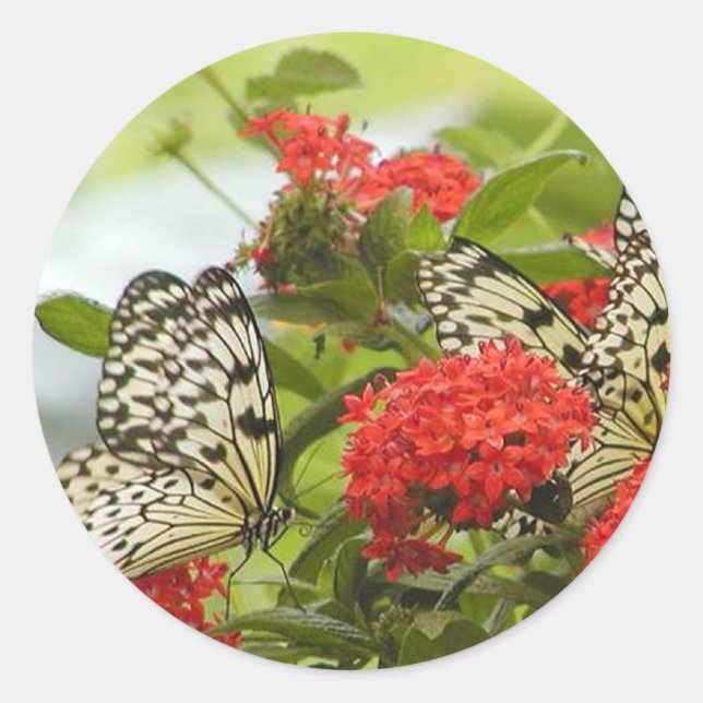 Sticker - Butterflies & Blossoms (Front)