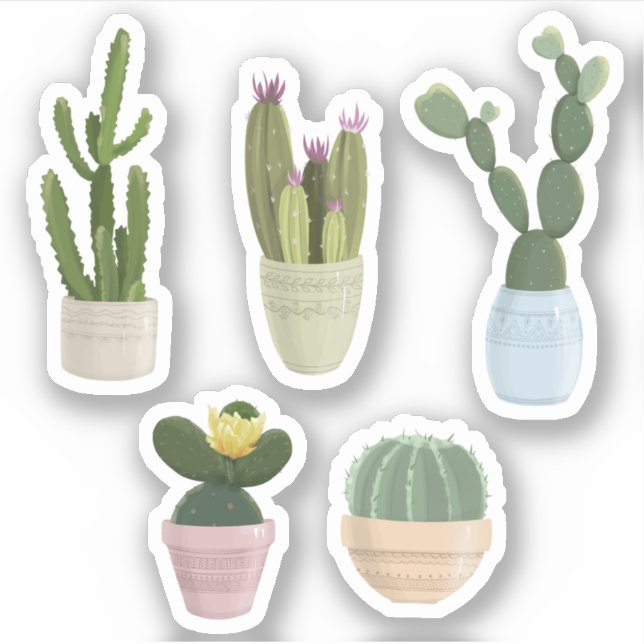 Sticker Cactus Nature (Devant)