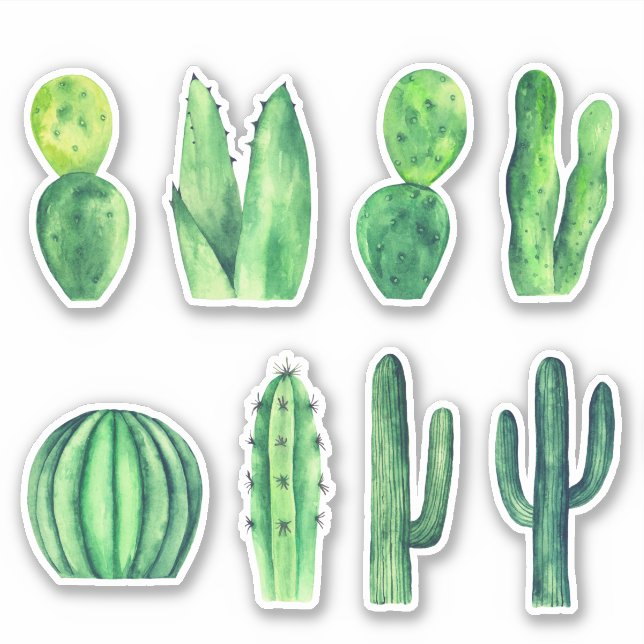Sticker Cactus vert aquarelle. Succulents. Botanique (Devant)
