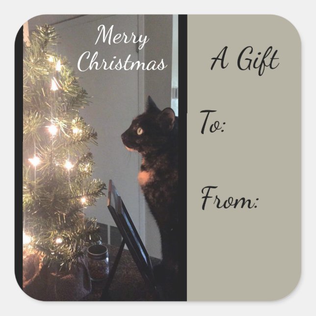 Sticker cadeau de Noël Joie Calico (Devant)
