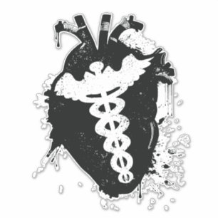 Sticker caduceus anatomic