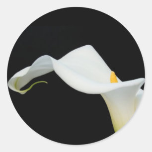 Sticker Calla Lily/Sceau