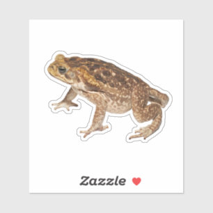 Sticker Canne Toad