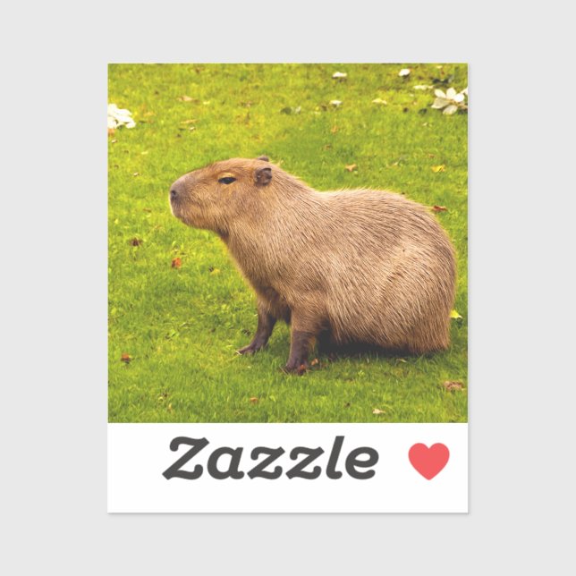 Sticker Capybara (Feuille)