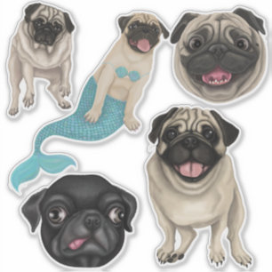Sticker Carlins