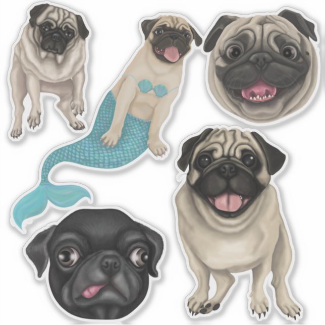 Sticker Carlins (Devant)