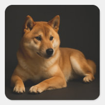 柴犬ポートレート – Shiba Inu Art