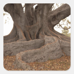 Sticker Carré 20130615_cal13_0249.jpg